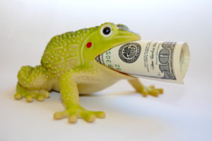 frog-finances-wealth-capital-coins-banknotes-1425331-pxhere-levels.com